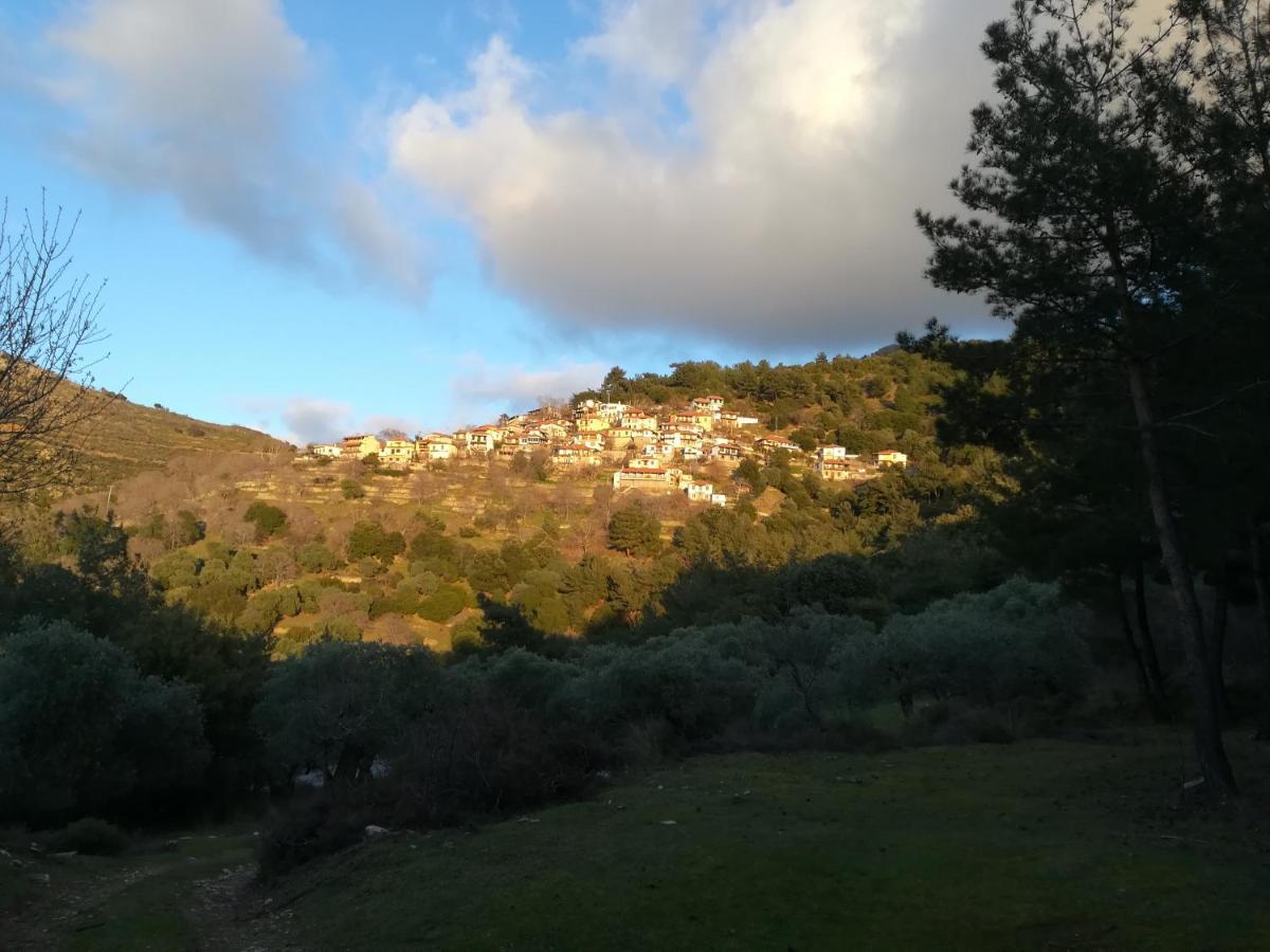 Eden View Apartamento Sotir Exterior foto