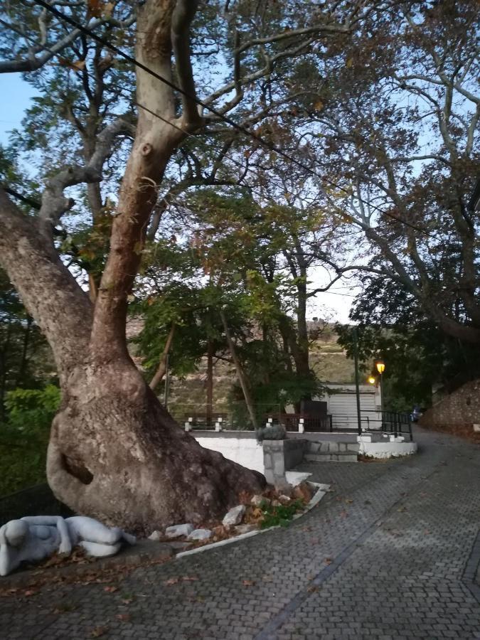 Eden View Apartamento Sotir Exterior foto